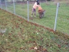 img-0dd2d8531d3c36286c2d0e2baf4b437f-v
