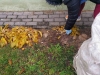 img-1a54abaa4e8d849be67795611a01837b-v