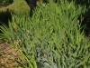 img_20240615_133012